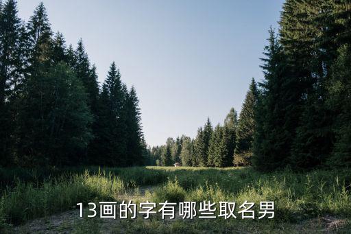 13畫的字有哪些,13畫中的名字用作人名表達謝意!
