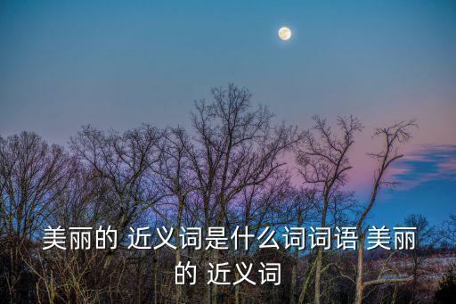 美麗近義詞,第二集:美麗of近義詞:近】美