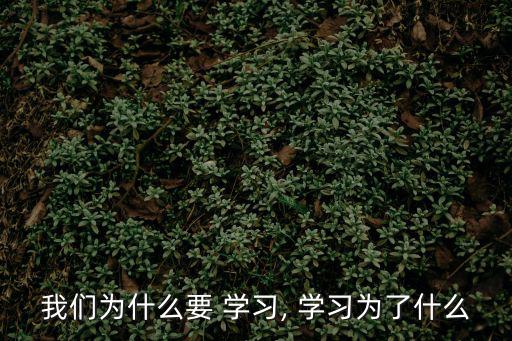 我們為什么要 學習, 學習為了什么