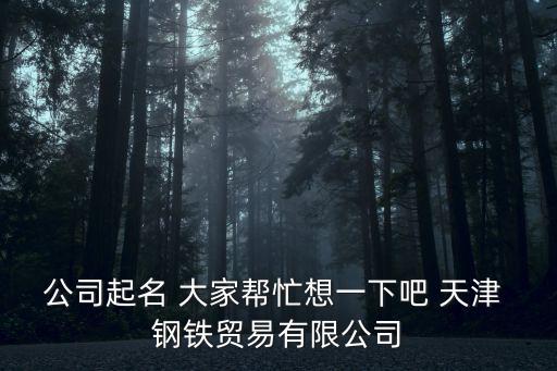 公司起名 大家幫忙想一下吧 天津 鋼鐵貿易有限公司