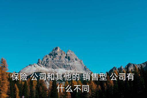 保險 公司和其他的 銷售型 公司有什么不同