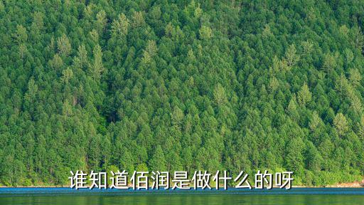 廣州佰潤貿易有限公司，誰知道佰潤是做什么的呀