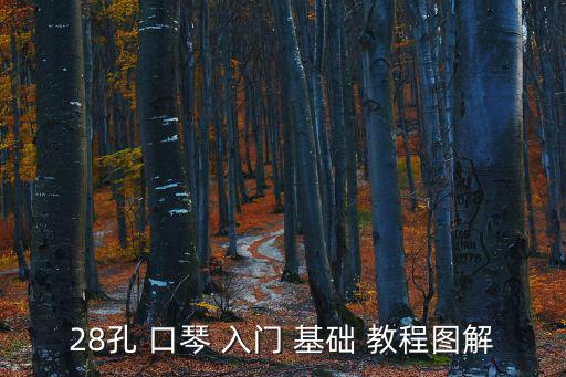 28孔 口琴 入門 基礎 教程圖解