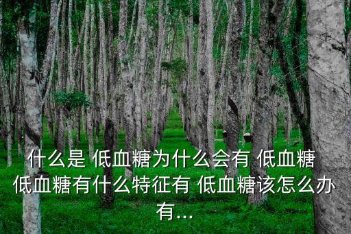 什么是 低血糖為什么會有 低血糖 低血糖有什么特征有 低血糖該怎么辦有...