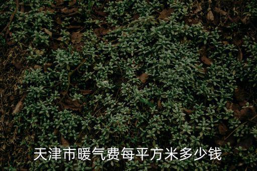 天津市暖氣費每平方米多少錢