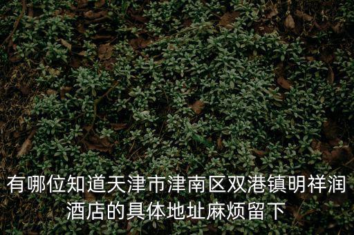 有哪位知道天津市津南區(qū)雙港鎮(zhèn)明祥潤(rùn)酒店的具體地址麻煩留下