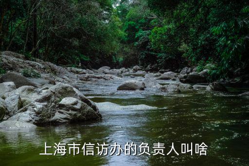 上海市信訪辦的負(fù)責(zé)人叫啥