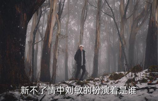 新不了情中劉敏的扮演著是誰