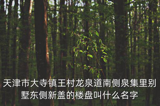 天津市大寺鎮(zhèn)王村龍泉道南側(cè)泉集里別墅東側(cè)新蓋的樓盤叫什么名字