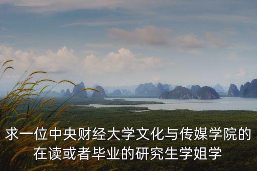 求一位中央財(cái)經(jīng)大學(xué)文化與傳媒學(xué)院的在讀或者畢業(yè)的研究生學(xué)姐學(xué)