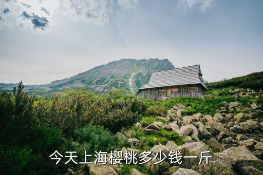 目前上海市櫻桃多錢一斤，今天上海櫻桃多少錢一斤