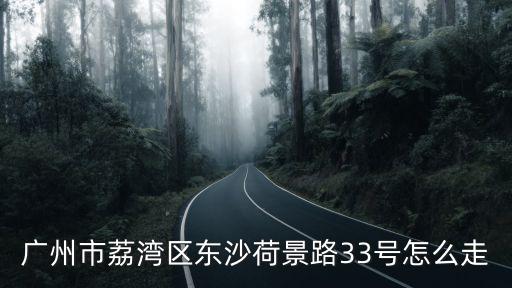廣州市荔灣區東沙荷景路33號怎么走