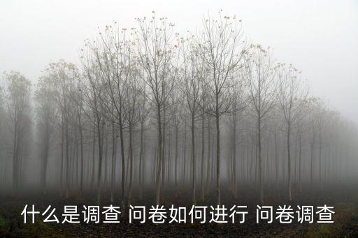 什么是調(diào)查 問(wèn)卷如何進(jìn)行 問(wèn)卷調(diào)查