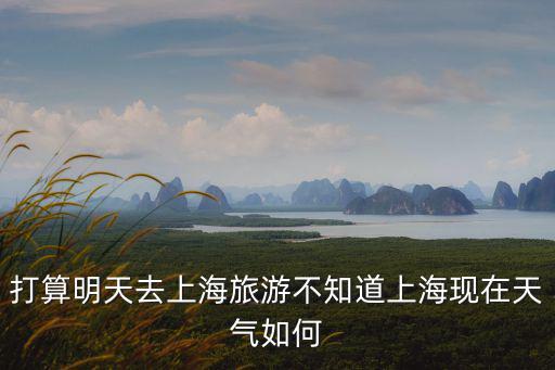 打算明天去上海旅游不知道上海現(xiàn)在天氣如何