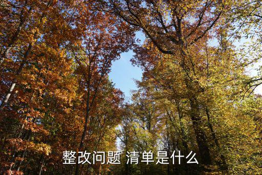 整改問題 清單是什么