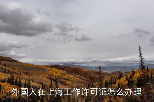 上海市松江區外國人就業許可，上海外國人工作許可證辦理流程