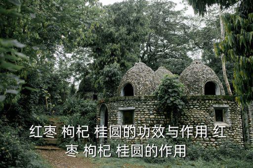  紅棗 枸杞 桂圓的功效與作用 紅棗 枸杞 桂圓的作用