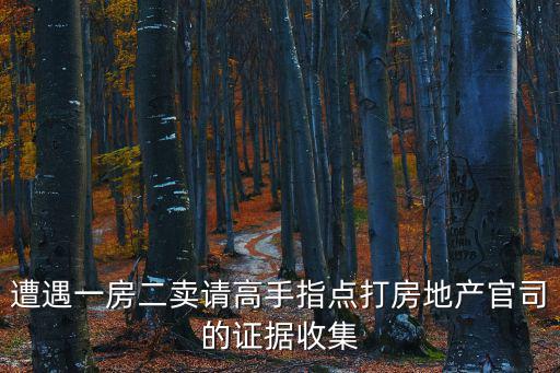 遭遇一房二賣請高手指點打房地產官司的證據收集