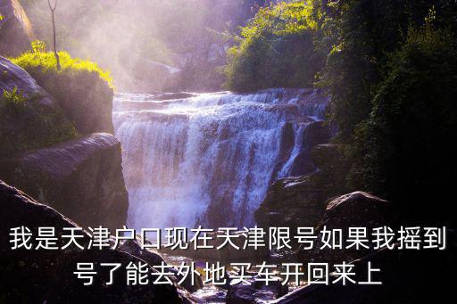 我是天津戶口現在天津限號如果我搖到號了能去外地買車開回來上