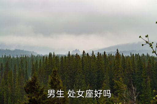  男生 處女座好嗎