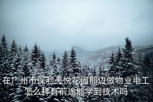 在廣州市保利天悅花園那邊做物業(yè)電工怎么樣有前途能學(xué)到技術(shù)嗎