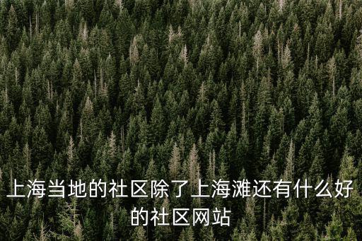 上海當地的社區除了上海灘還有什么好的社區網站