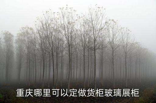 重慶哪里可以定做貨柜玻璃展柜