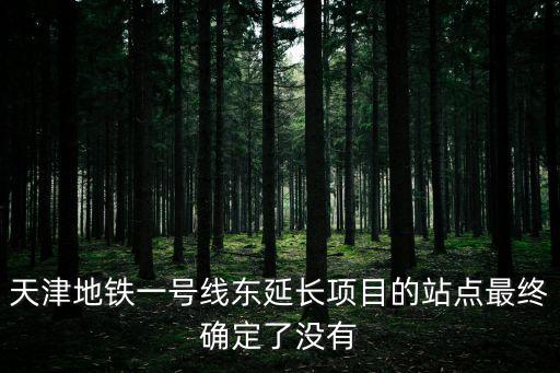 天津地鐵一號線東延長項目的站點最終確定了沒有
