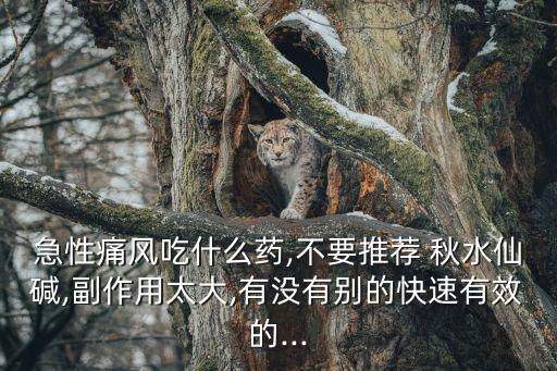 急性痛風吃什么藥,不要推薦 秋水仙堿,副作用太大,有沒有別的快速有效的...