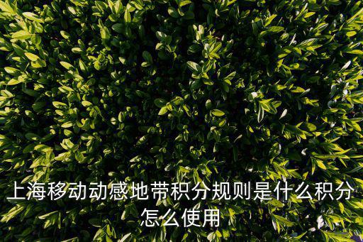 上海移動動感地帶積分規則是什么積分怎么使用