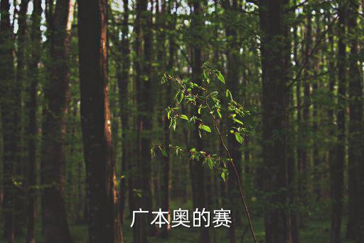 廣本奧的賽