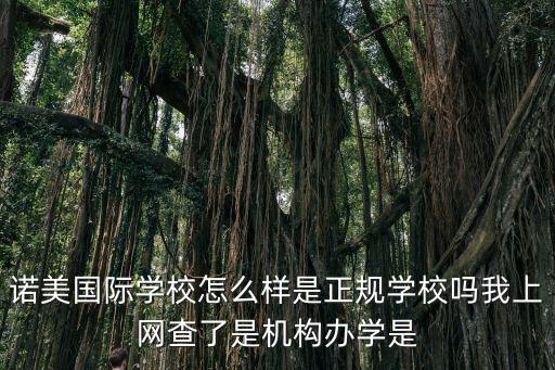 諾美國際學校怎么樣是正規學校嗎我上網查了是機構辦學是