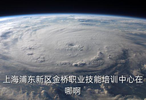 上海浦東新區(qū)金橋職業(yè)技能培訓(xùn)中心在哪啊