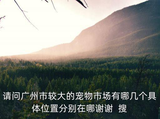 請問廣州市較大的寵物市場有哪幾個具體位置分別在哪謝謝  搜