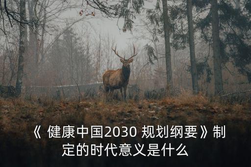 《 健康中國2030 規劃綱要》制定的時代意義是什么