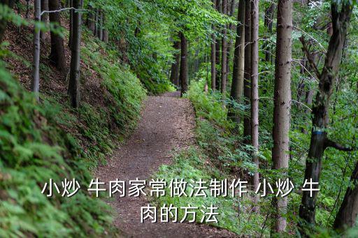  小炒 牛肉家常做法制作 小炒 牛肉的方法