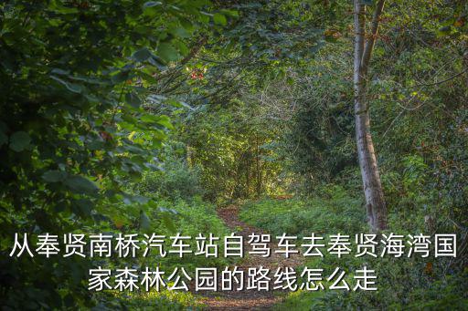 從奉賢南橋汽車(chē)站自駕車(chē)去奉賢海灣國(guó)家森林公園的路線怎么走