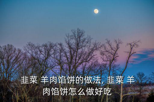  韭菜 羊肉餡餅的做法, 韭菜 羊肉餡餅怎么做好吃