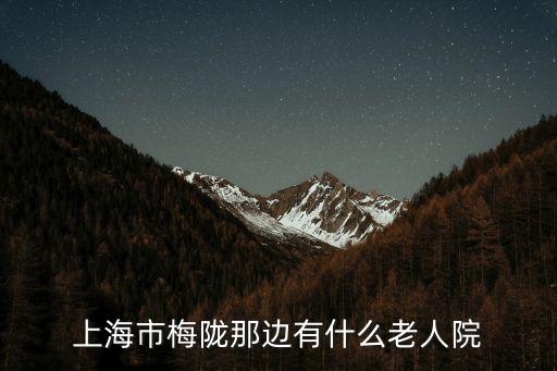 上海市徐匯區梅隴敬老院地址，上海市徐匯區有哪些養老院