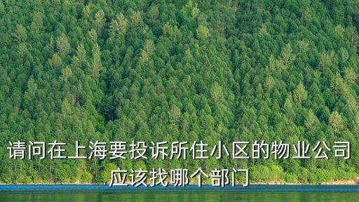 95年上海靜安房價如何，山東金泰集團股份有限公司的介紹