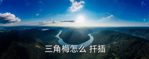 三角梅扦插,精彩財富攻略（13）