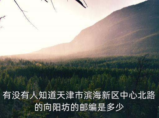 有沒有人知道天津市濱海新區中心北路的向陽坊的郵編是多少