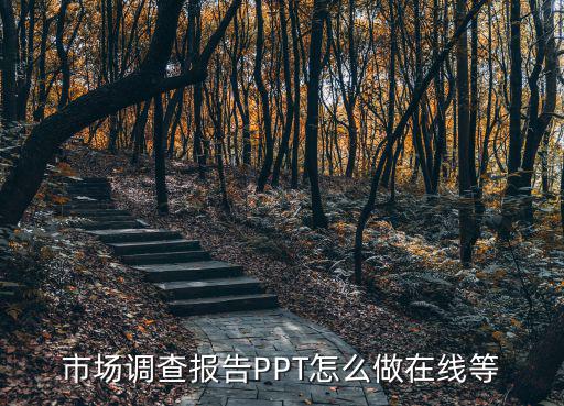 市場調查報告PPT怎么做在線等