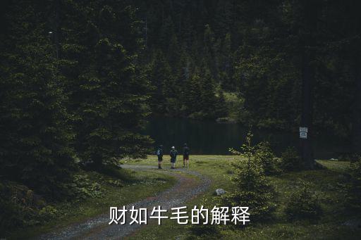 財(cái)如牛毛的解釋