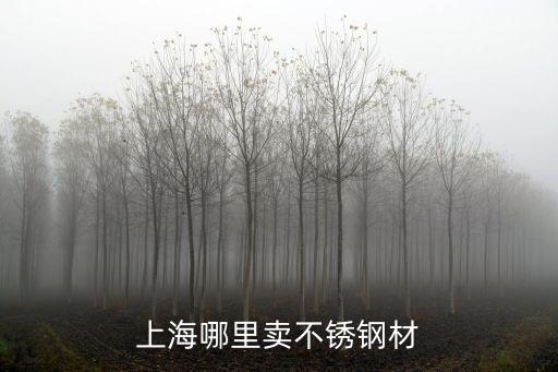 上海市靜安不銹鋼，請問上海的不銹鋼市場都有哪些地址有嘛