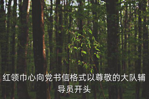紅領(lǐng)巾心向黨書信格式以尊敬的大隊(duì)輔導(dǎo)員開頭