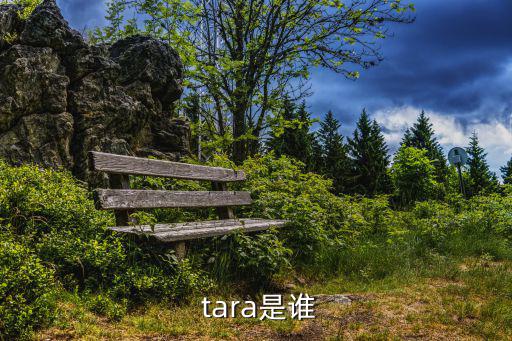  tara是誰