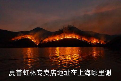 上海市永和路118弄58號(hào)3樓，上海58速運(yùn)分公司地址在什么地方