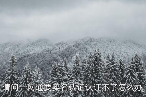請問一網通要實名認證認證不了怎么辦