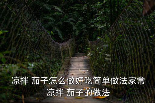  涼拌 茄子怎么做好吃簡單做法家常 涼拌 茄子的做法